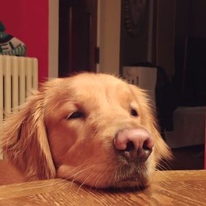 Meet your Posher, Eric